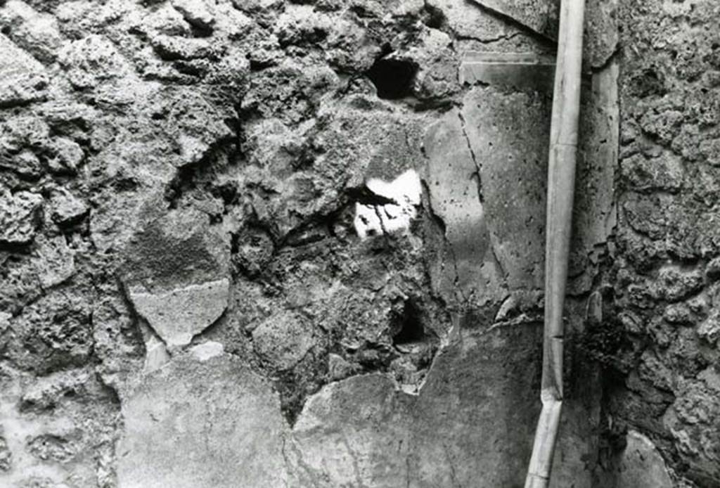 I.9.1 Pompeii. 1975. House of the Beautiful Impluvium, last room left, back E wall.  
Photo courtesy of Anne Laidlaw.
American Academy in Rome, Photographic Archive. Laidlaw collection _P_75_5_13.