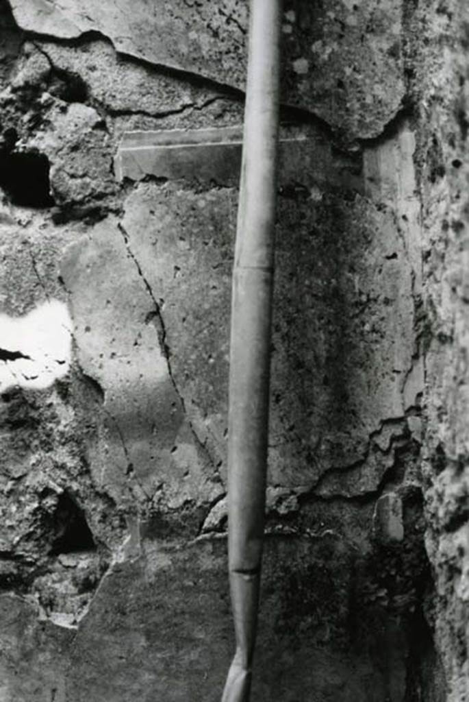 I.9.1 Pompeii. 1975. House of the Beautiful Impluvium, last room left, back E wall.  
Photo courtesy of Anne Laidlaw.
American Academy in Rome, Photographic Archive. Laidlaw collection _P_75_5_14.