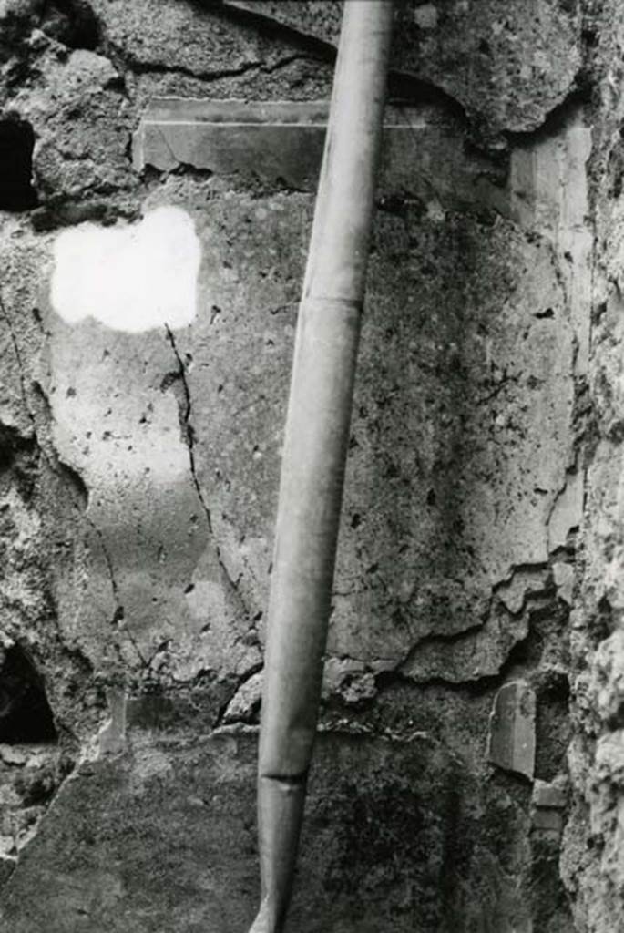 I.9.1 Pompeii. 1975. House of the Beautiful Impluvium, last room left, E wall by SE corner, general view, detail of orthostat and bottom of narrow one.  Photo courtesy of Anne Laidlaw.
American Academy in Rome, Photographic Archive. Laidlaw collection _P_75_5_15.