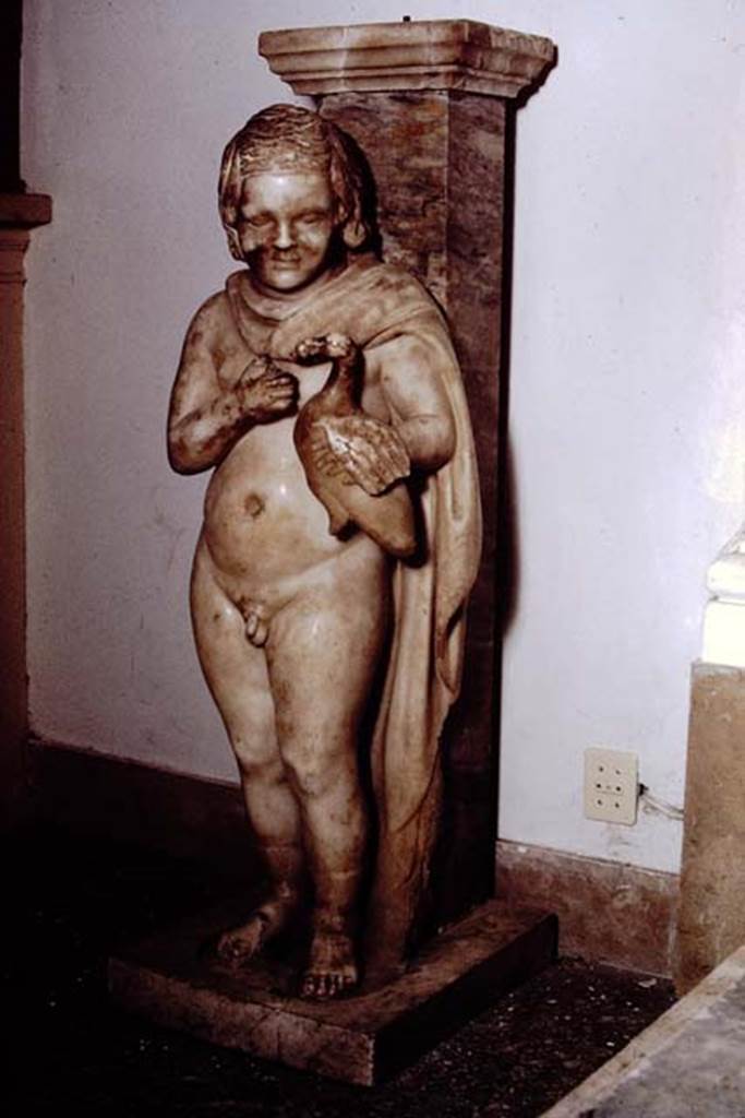 I.9.3 Pompeii, 1978. Statue of small boy with dove. 
Photo by Stanley A. Jashemski.   
Source: The Wilhelmina and Stanley A. Jashemski archive in the University of Maryland Library, Special Collections (See collection page) and made available under the Creative Commons Attribution-Non Commercial License v.4. See Licence and use details.
J78f0012
According to Wilhelmina, this statue served as a table base. SAP inventory number 20395.
See Jashemski, W. F., 1993. The Gardens of Pompeii, Volume II: Appendices. New York: Caratzas. (p. 44).