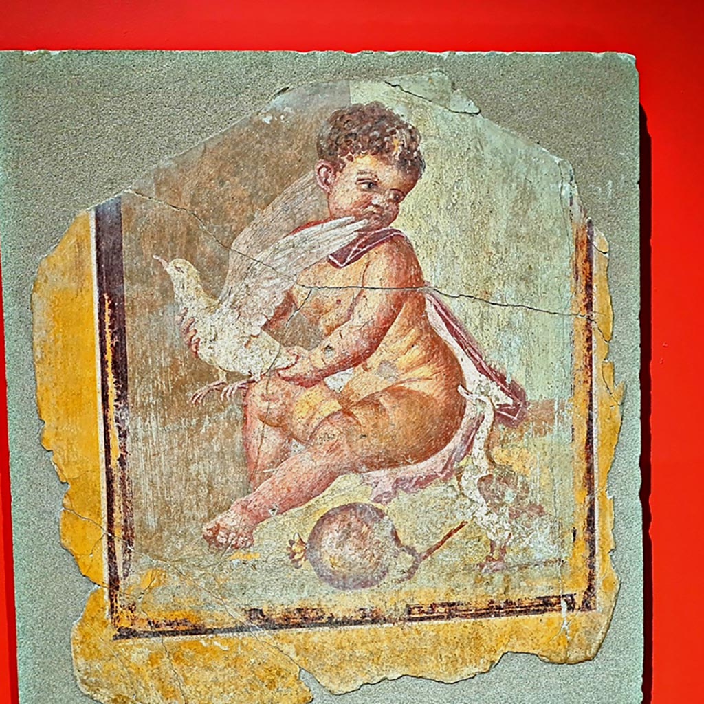 I.9.3 Pompeii. March 2024. 
Room 10, centre of north wall, Adonis as a child, fresco, 1st century AD. (Adone bambino. Affresco, I sec. d.C.) 
On display in exhibition “L’altra Pompei, vite comuni all’ombra del Vesuvio”.
Photo courtesy of Giuseppe Ciaramella.