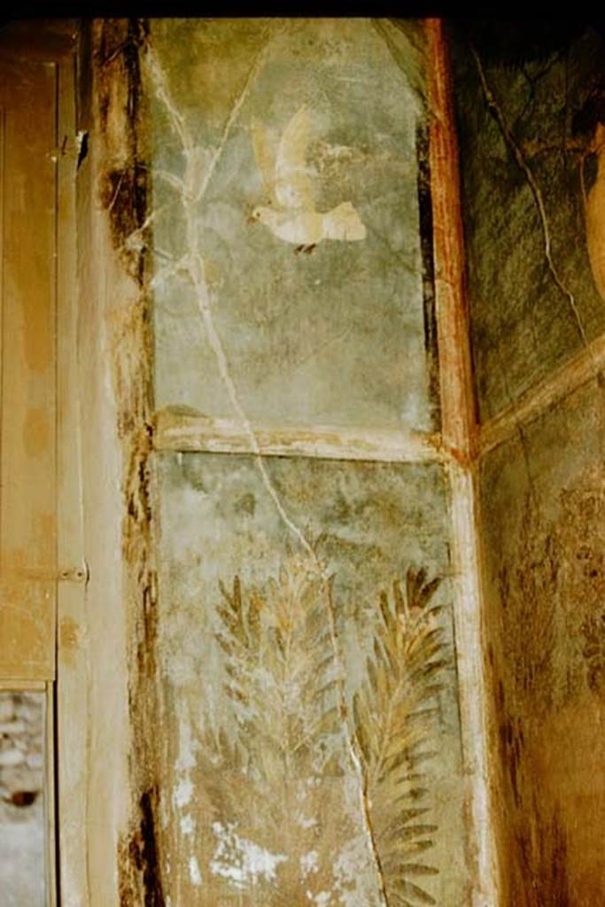 1.9.5 Pompeii. 1957. Room 5, garden painting from narrow west wall in north-west corner. 
Photo by Stanley A. Jashemski.
Source: The Wilhelmina and Stanley A. Jashemski archive in the University of Maryland Library, Special Collections (See collection page) and made available under the Creative Commons Attribution-Non Commercial License v.4. See Licence and use details.
J57f0169
