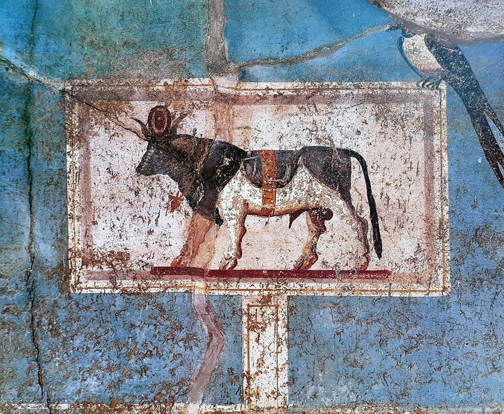 I.9.5 Pompeii. 1991. Room 5, cubiculum. North wall. Painting of Apis bull. Photo courtesy of Davide Peluso.