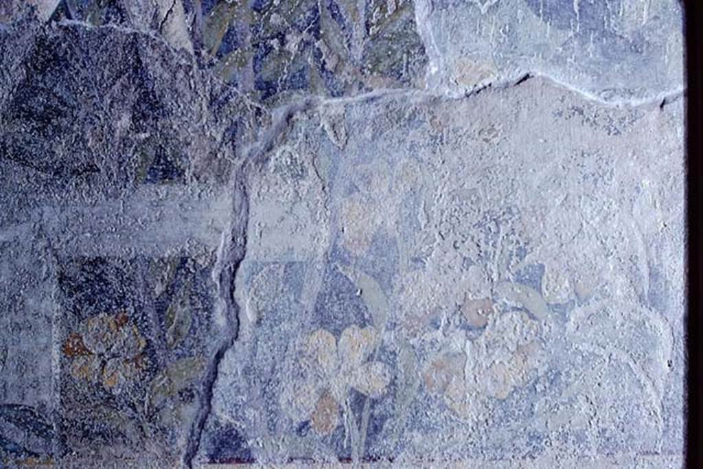 I.9.5 Pompeii, 1968. Room 5, detail of painted flowers.  Photo by Stanley A. Jashemski.
Source: The Wilhelmina and Stanley A. Jashemski archive in the University of Maryland Library, Special Collections (See collection page) and made available under the Creative Commons Attribution-Non Commercial License v.4. See Licence and use details.
J68f0151