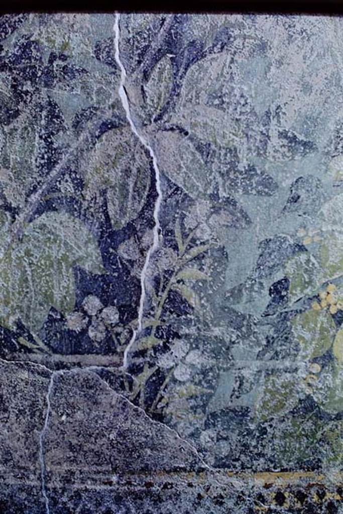 I.9.5 Pompeii, 1968. Room 5, detail of painted flowers.  Photo by Stanley A. Jashemski. 
Photo by Stanley A. Jashemski.
Source: The Wilhelmina and Stanley A. Jashemski archive in the University of Maryland Library, Special Collections (See collection page) and made available under the Creative Commons Attribution-Non Commercial License v.4. See Licence and use details.
J68f0186