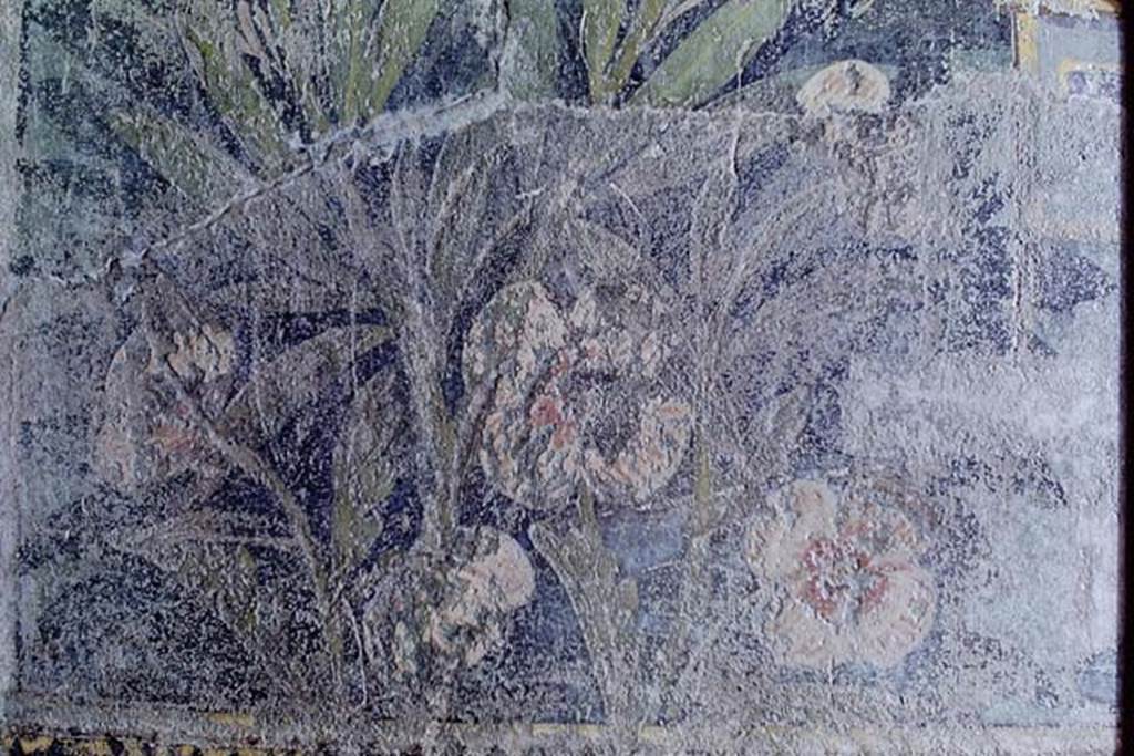 I.9.5 Pompeii. 1968. Room 5, detail of painted flowers. Photo by Stanley A. Jashemski.
Source: The Wilhelmina and Stanley A. Jashemski archive in the University of Maryland Library, Special Collections (See collection page) and made available under the Creative Commons Attribution-Non Commercial License v.4. See Licence and use details.
J68f0190