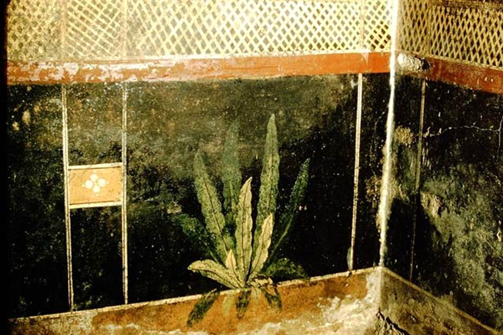 I.9.5 Pompeii. 1957. Room 5, painted plant in zoccolo at south end of east wall of cubiculum.  
Photo by Stanley A. Jashemski.
Source: The Wilhelmina and Stanley A. Jashemski archive in the University of Maryland Library, Special Collections (See collection page) and made available under the Creative Commons Attribution-Non Commercial License v.4. See Licence and use details.
J57f0216