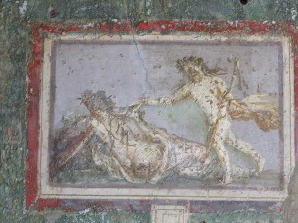 I.9.5 Pompeii. March 2009. Room 5, painting of Ariadne and Dionysus on south wall of cubiculum. 
See Bragantini, de Vos, Badoni, 1981. Pitture e Pavimenti di Pompei, Parte 1. Rome: ICCD. (p.96).
Kuivalainen describes –
on the eastern side of the south wall, central zone, in a garden painting, painted marble relief (stylopinakion) – 
“A composition of two whitish figures on a bluish-grey background. In the foreground, a sleeping almost naked female figure callipyge with her back to the viewer; she is reclining and supporting herself with her left arm; she wears a whitish cloak, which covers her legs; she has a leafy wreath in her hair. On the right, a male figure steps energetically over the legs of the reclining figure; his curly long and floating hair is dark brown, adorned with a wreath; he carries a yellowish flaring cloak and a long pedum with long ribbons in his left arm; his right arm is outstretched, and he shakes the female figure by her right shoulder.”
Kuivalainen comments –
“The pose of the non-sleeping figure with the energetic step is similar to (E3) and (E4), the difference being in the various states of clothing, from fully robed to almost naked. His hair suits Bacchus well – thus young Bacchus discovering sleeping Ariadne.”
See Kuivalainen, I., 2021. The Portrayal of Pompeian Bacchus. Commentationes Humanarum Litterarum 140. Helsinki: Finnish Society of Sciences and Letters,  (p.145, E6).