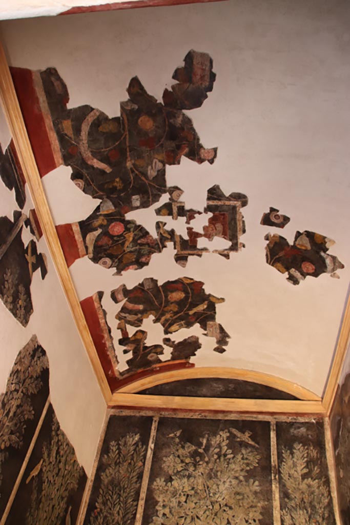 I.9.5 Pompeii. April 2022. Room 11, ceiling. Photo courtesy of Johannes Eber.