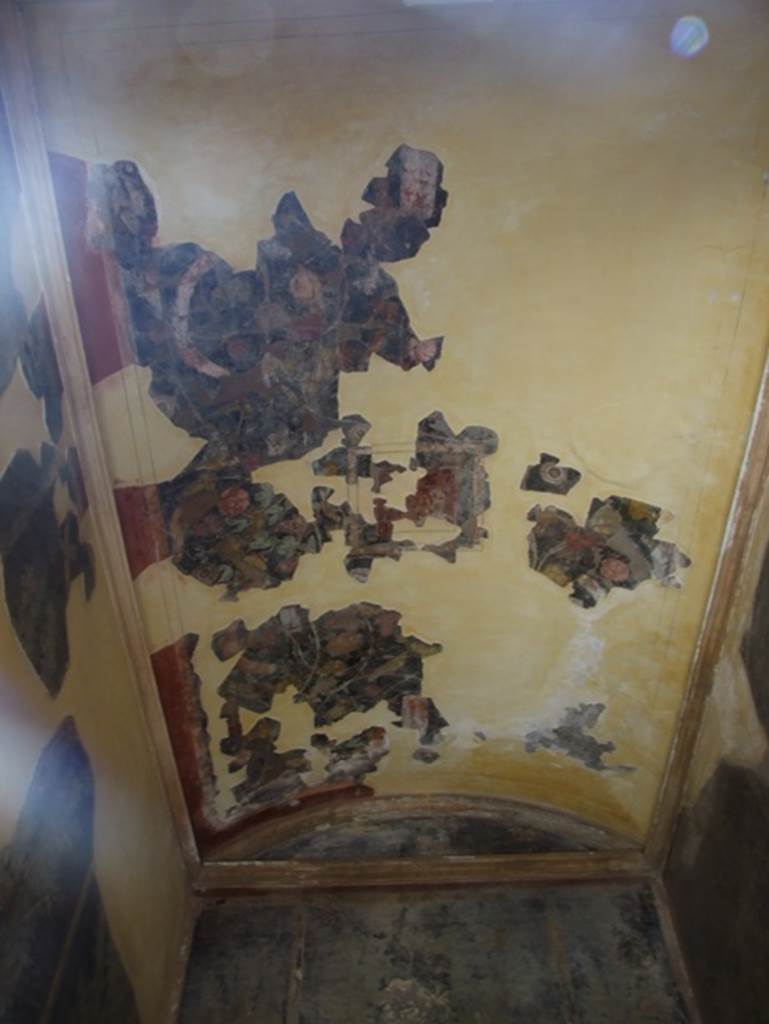 I.9.5 Pompeii. March 2009. Room 11, cubiculum. Ceiling.
In the centre of the black barrel-vaulted ceiling, Kuivalainen describes –
“A youth riding a panther from left to right. His upper body is depicted frontally; his right hand is outstretched, the left hangs down holding a thyrsus. He has a wreath on his head, and his red cloak covers his legs and his left forearm. Both of the panther’s forelegs are raised; his neck is long, and the head is turned right towards the viewer.”
Kuivalainen comments –
“The riding figure is attired similarly to most young half-naked depictions of Bacchus……..In this house all the themes are connected to Bacchus and Egyptian gods.
See Kuivalainen, I., 2021. The Portrayal of Pompeian Bacchus. Commentationes Humanarum Litterarum 140. Helsinki: Finnish Society of Sciences and Letters, (p.121-2, C23).
