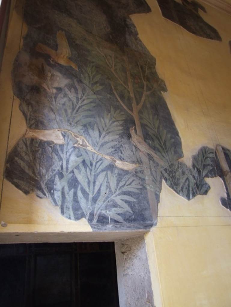 I.9.5 Pompeii. March 2009. Room 11.Cubiculum. North wall.  Garden painting of tree and birds.