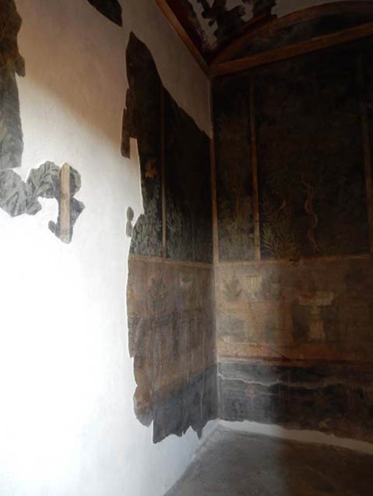 I.9.5 Pompeii. May 2017. Room 11, remains of garden painting on north wall and north-east corner. Photo courtesy of Buzz Ferebee.
