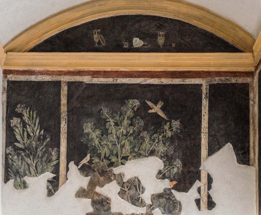 I.9.5 Pompeii. April 2022.
Room 11, garden painting from upper west wall of cubiculum above doorway. Photo courtesy of Johannes Eber.