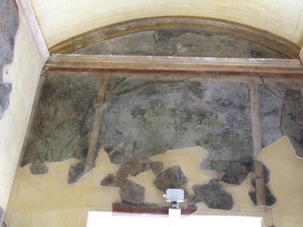 I.9.5 Pompeii. March 2009. Room 11. Cubiculum. West wall. Garden painting.