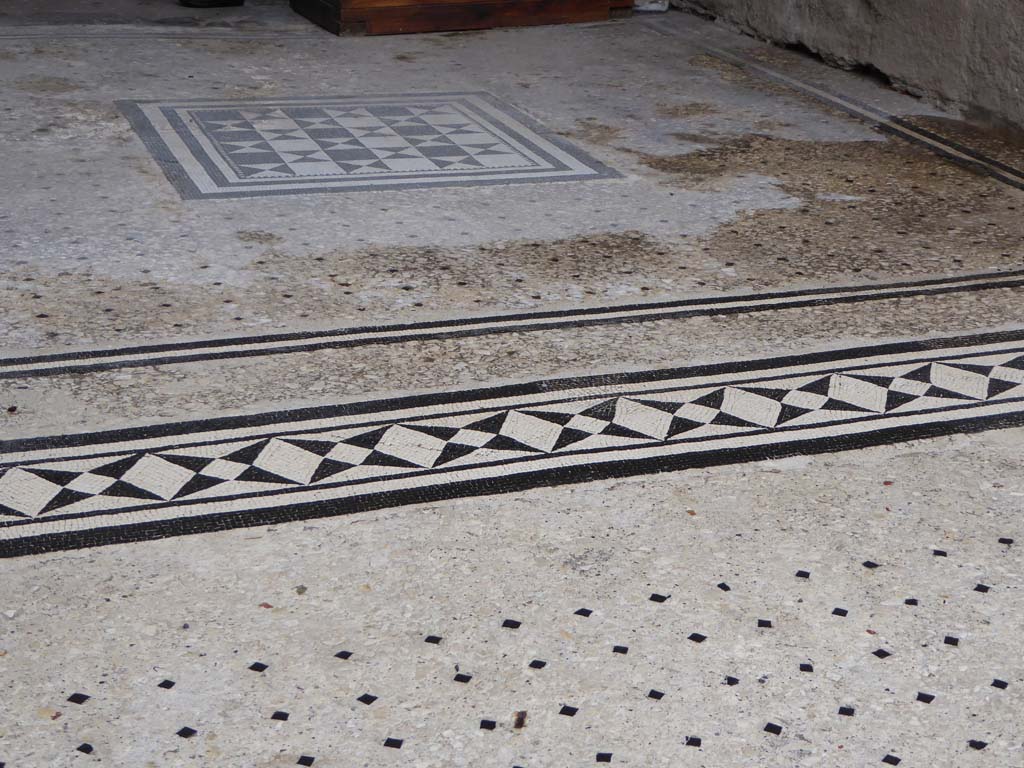 I.9.5 Pompeii. January 2017. Room 8, looking south across mosaic doorway threshold and flooring in tablinum, from atrium flooring. 
Foto Annette Haug, ERC Grant 681269 DÉCOR.