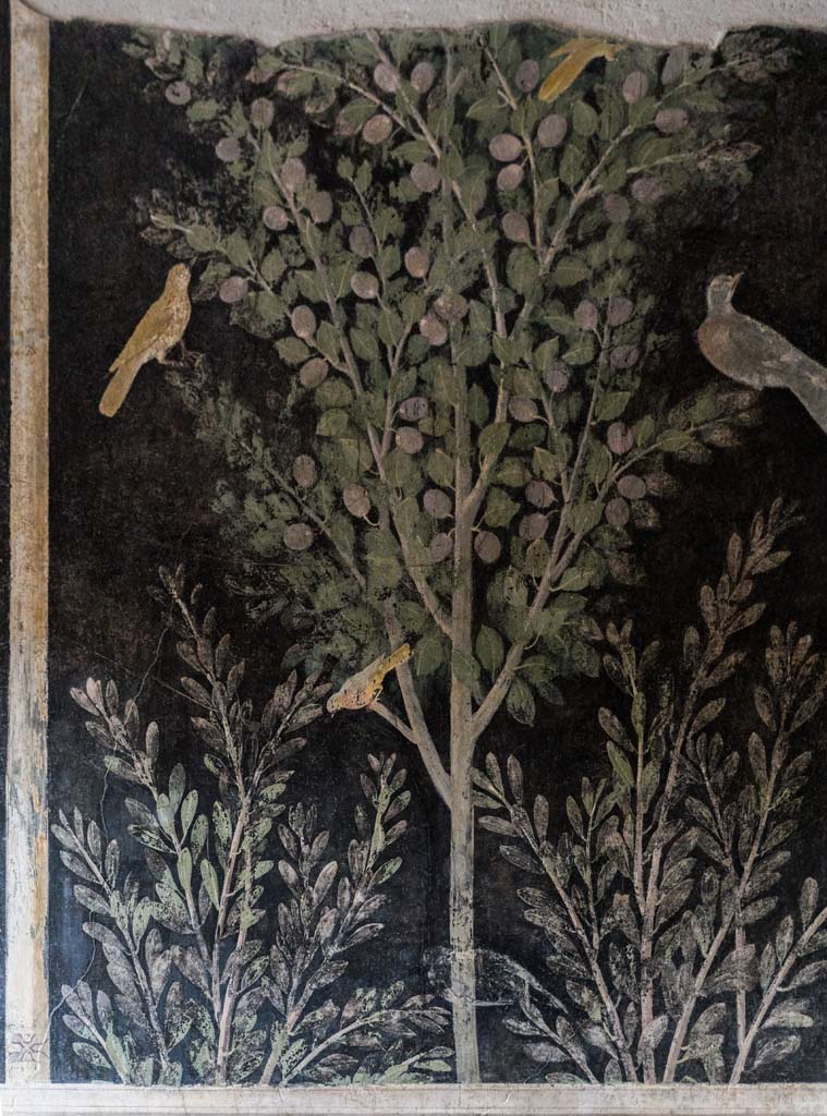 I.9.5 Pompeii. April 2022. 
Room 11, painting from upper north wall at east end. Photo courtesy of Johannes Eber.