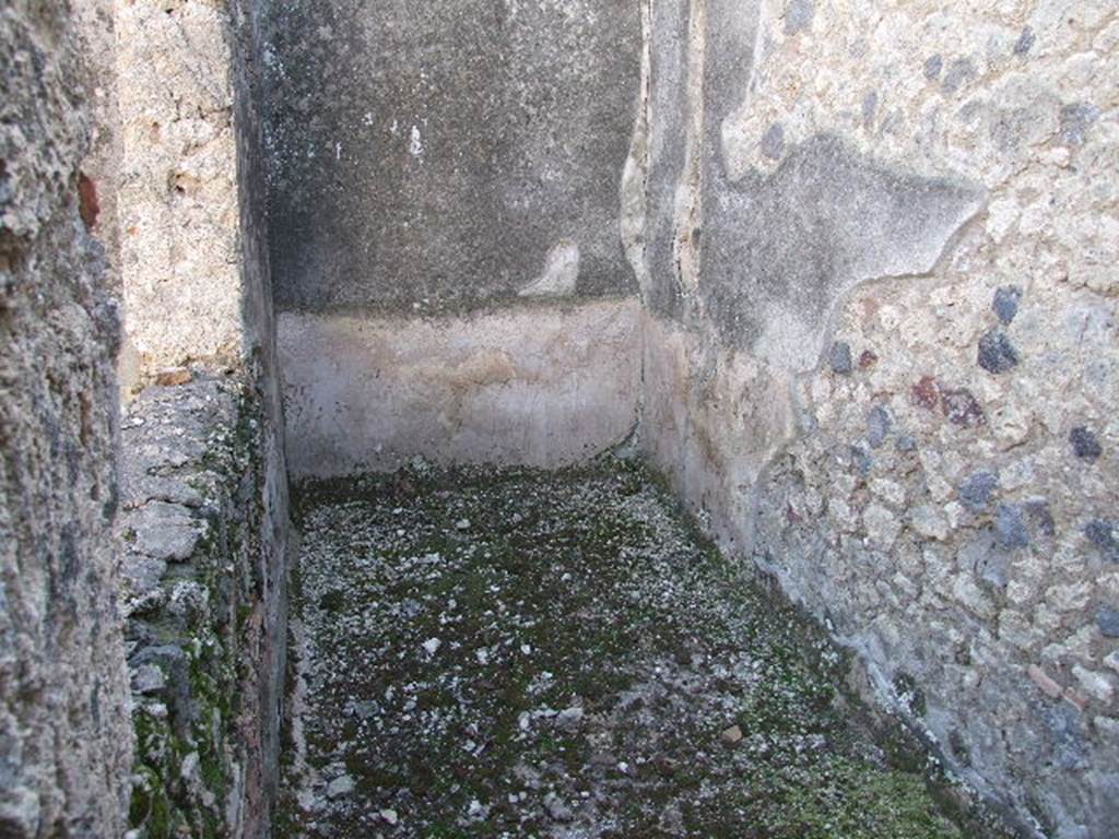 I.9.8 Pompeii. December 2006. Looking south in rear room/paved area.  
On the left can be seen the windowed wall of the triclinium fenestratum, overlooking the garden area.