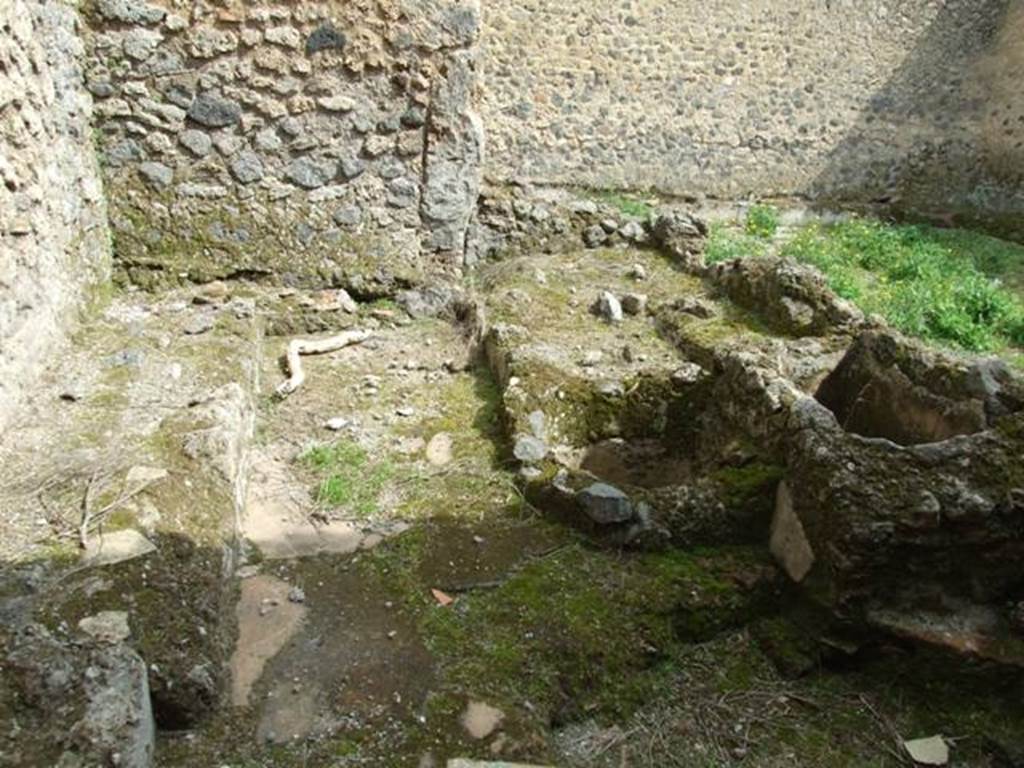 I.9.11 Pompeii.  March 2009.  Structure at the rear of yard area