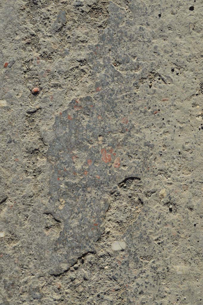 I.9.13 Pompeii. March 2019. Detail from pavement.
Foto Taylor Lauritsen, ERC Grant 681269 DÉCOR.