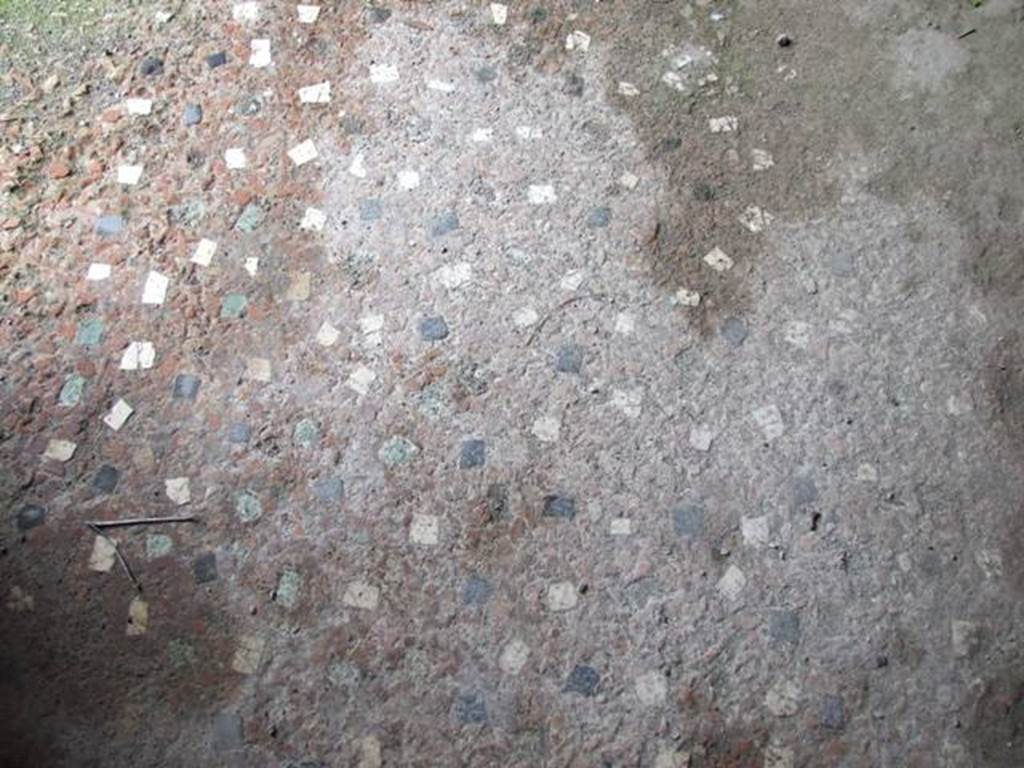 I.9.14 Pompeii. March 2009.  Room 12.  Floor.