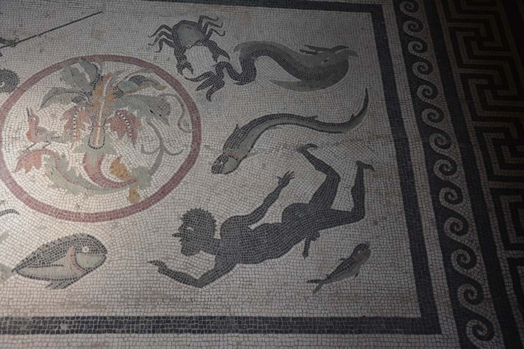 I.10.4 Pompeii. September 2019. Room 48, detail of figure on west side of floor mosaic.
Foto Annette Haug, ERC Grant 681269 DÉCOR.