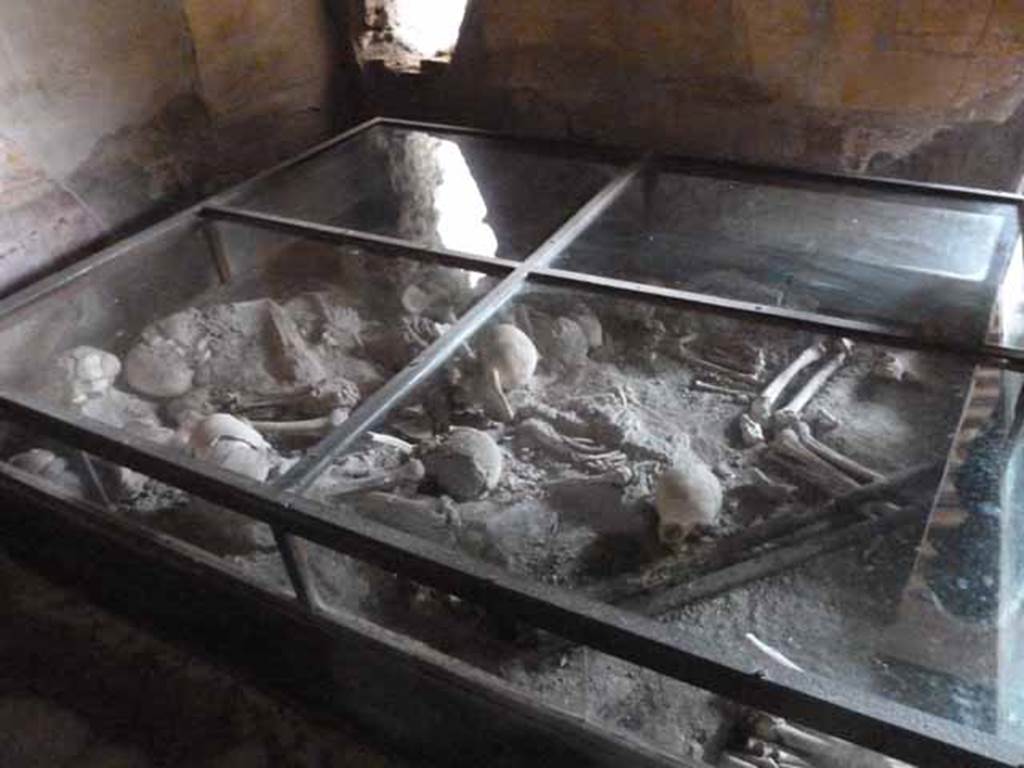 1.10.4 Pompeii. May 2010. Room 19, glass case with remains of bones of fugitives.  Originally three skeletons were found in room 19 on 29th April 1931 near to the doorway to the peristyle at ground level.  Maiuri identified them as two adults and one juvenile. These skeletons were removed.   Found with them were a mattock and a pick-axe, perhaps used to make the holes in the south and west walls to help them escape. 
These tools can be seen in the glass case but with reconstructed wooden handles.  The other skeletons, approximately ten of them, were found a few days later above the corridor P1.  They were found 2.5 metres above the ground. They seemed to have fallen from an upper floor, one on top of another, so their bones were intermingled.  All of these bones from corridor P1 were collected and moved to Room 19 for display in the glass case.  Some of the bones, not needed for the display, can still be seen in a pit in the lower right corner of the photo.
See Lazer, E. 2009. Resurrecting Pompeii, London & New York: Routledge, (p. 10-14)
See Lazer, E: Resti umani scheletrici nella Casa del Menandro, in Menander, La Casa del Menandro di Pompei. Edited by G. Stefani. Milan: Electa, 2003 (p. 64-69).