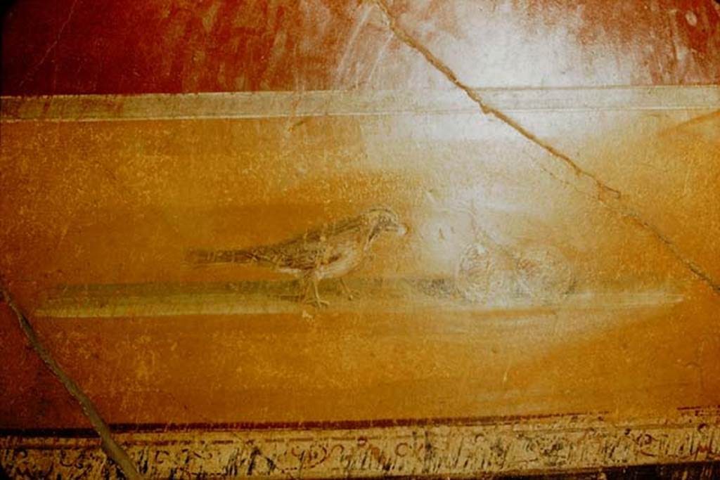 I.10.4 Pompeii. 1957. West wall on south side of room 7, in south-west corner of atrium, painting of bird with fruit.  
Photo by Stanley A. Jashemski.
Source: The Wilhelmina and Stanley A. Jashemski archive in the University of Maryland Library, Special Collections (See collection page) and made available under the Creative Commons Attribution-Non Commercial License v.4. See Licence and use details.
J57f0491