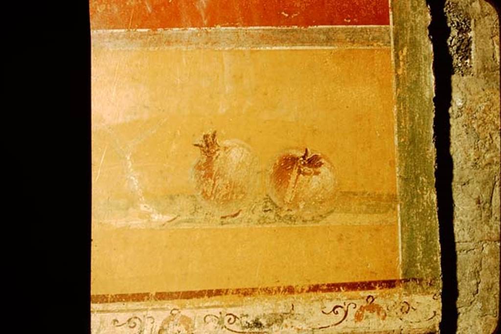 I.10.4 Pompeii. 1957. Painted pomegranates, from west wall of atrium, on south side of doorway to room 7. Photo by Stanley A. Jashemski.
Source: The Wilhelmina and Stanley A. Jashemski archive in the University of Maryland Library, Special Collections (See collection page) and made available under the Creative Commons Attribution-Non Commercial License v.4. See Licence and use details.
J57f0490