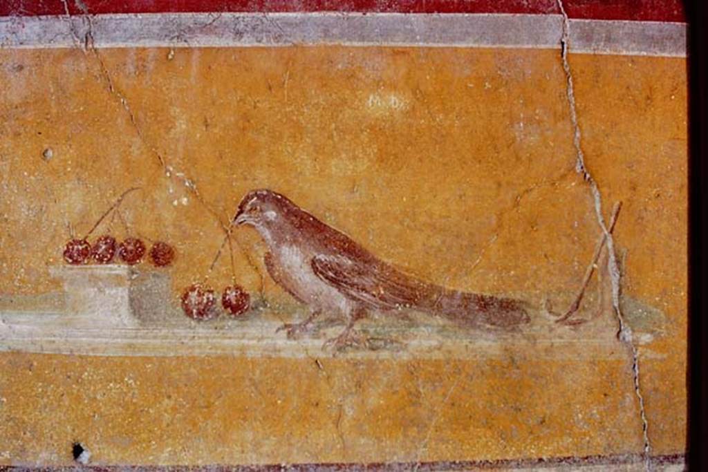 1.10.4 Pompeii. 1968. North-east corner of atrium. Painting of bird on north wall. Photo by Stanley A. Jashemski.
Source: The Wilhelmina and Stanley A. Jashemski archive in the University of Maryland Library, Special Collections (See collection page) and made available under the Creative Commons Attribution-Non Commercial License v.4. See Licence and use details.
J68f2041