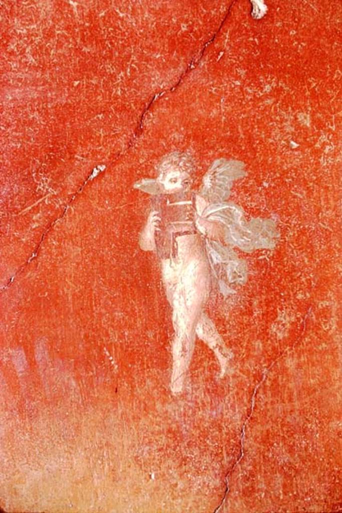 I.10.4 Pompeii, 1968. Room 4, north wall on east side of central painting in middle of red panel.  Flying cupid with pan-pipe. Photo by Stanley A. Jashemski.
Source: The Wilhelmina and Stanley A. Jashemski archive in the University of Maryland Library, Special Collections (See collection page) and made available under the Creative Commons Attribution-Non Commercial License v.4. See Licence and use details. J68f2047