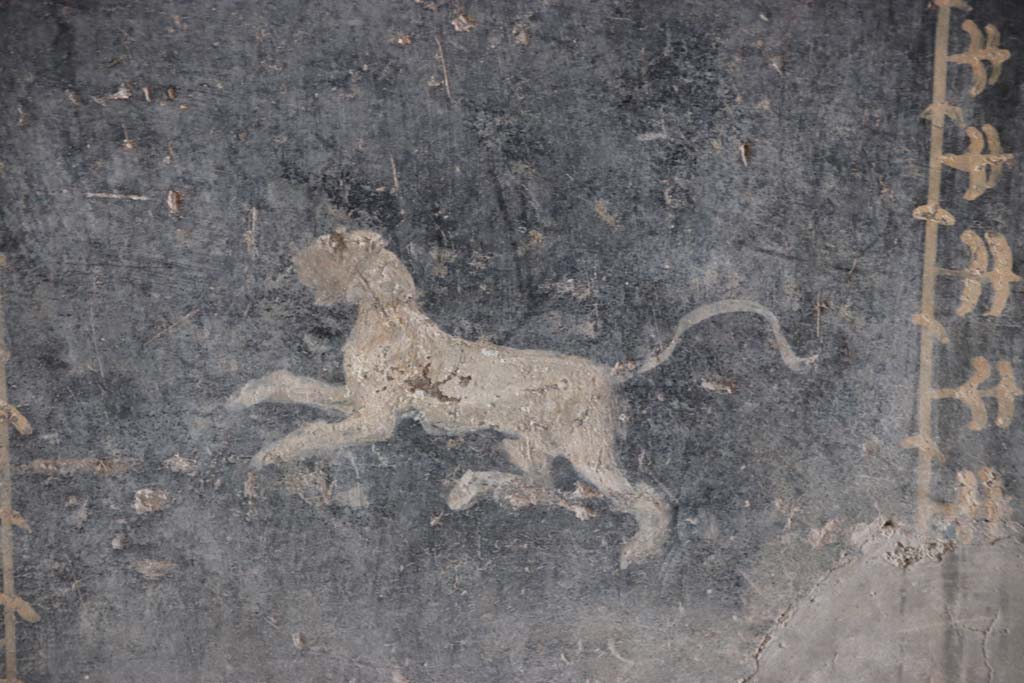 I.10.4 Pompeii. September 2021. 
Room 8, detail of painted panther from middle of zoccolo on east wall of tablinum. Photo courtesy of Klaus Heese.
