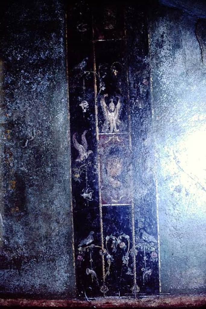1.10.4 Pompeii. 1966. Room 11, detail from east wall.  Photo by Stanley A. Jashemski.
Source: The Wilhelmina and Stanley A. Jashemski archive in the University of Maryland Library, Special Collections (See collection page) and made available under the Creative Commons Attribution-Non Commercial License v.4. See Licence and use details.
J66f0394