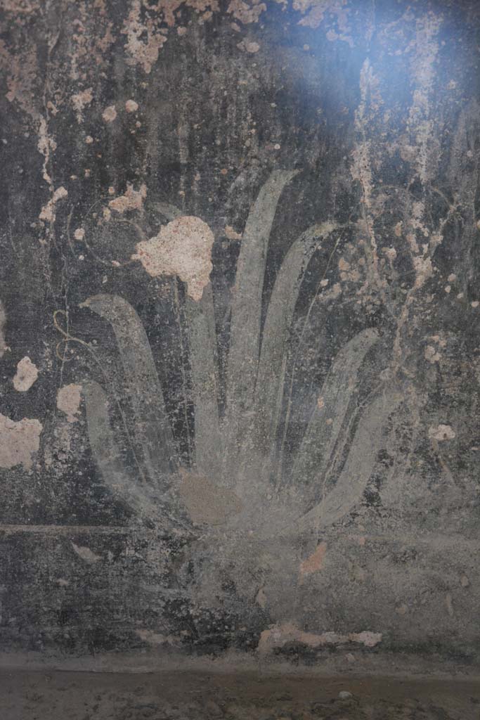 I.10.4 Pompeii. October 2017. Detail of painted plant from pluteus on west portico.
Foto Annette Haug, ERC Grant 681269 DÉCOR.