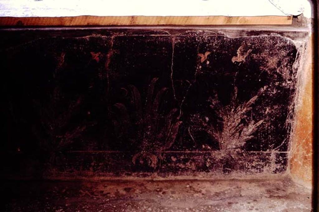 I.10.4 Pompeii. 1964. Detail of painted pluteus from around the peristyle garden.  Photo by Stanley A. Jashemski.
Source: The Wilhelmina and Stanley A. Jashemski archive in the University of Maryland Library, Special Collections (See collection page) and made available under the Creative Commons Attribution-Non Commercial License v.4. See Licence and use details.
J64f1917