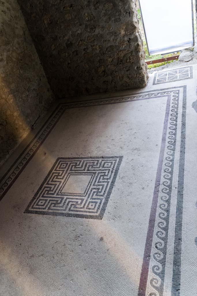 I.10.4 Pompeii. April 2022. 
Room 47, looking west across mosaic flooring in tepidarium (warm room). Photo courtesy of Johannes Eber.