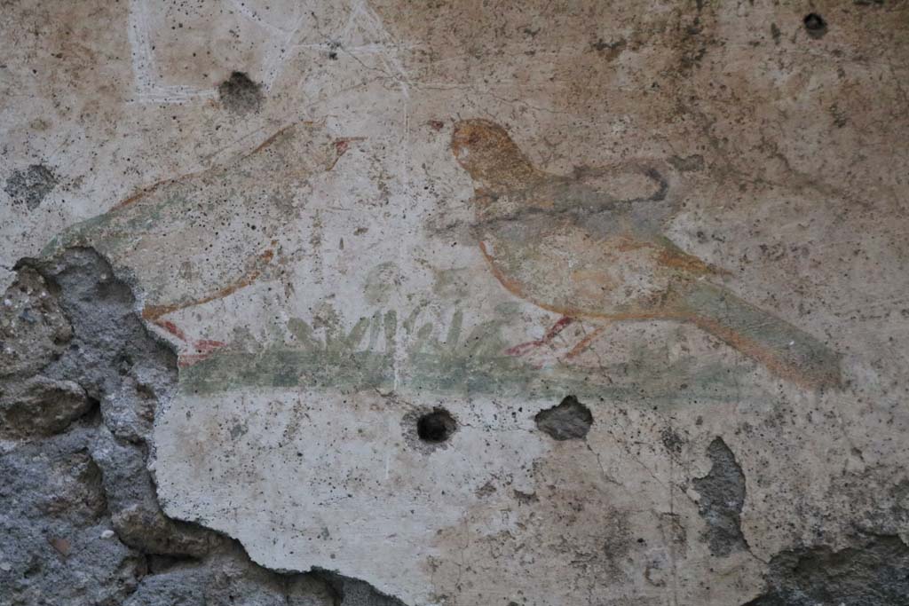 I.10.6 Pompeii. December 2018. 
Detail of bird wall painting from west wall of small room to east of workshop. Photo courtesy of Aude Durand.