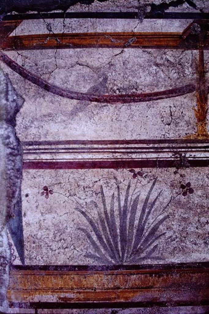 I.10.8 Pompeii. 1966. Painted plaster on south wall in tablinum.  Photo by Stanley A. Jashemski.
Source: The Wilhelmina and Stanley A. Jashemski archive in the University of Maryland Library, Special Collections (See collection page) and made available under the Creative Commons Attribution-Non Commercial License v.4. See Licence and use details.
J66f0521