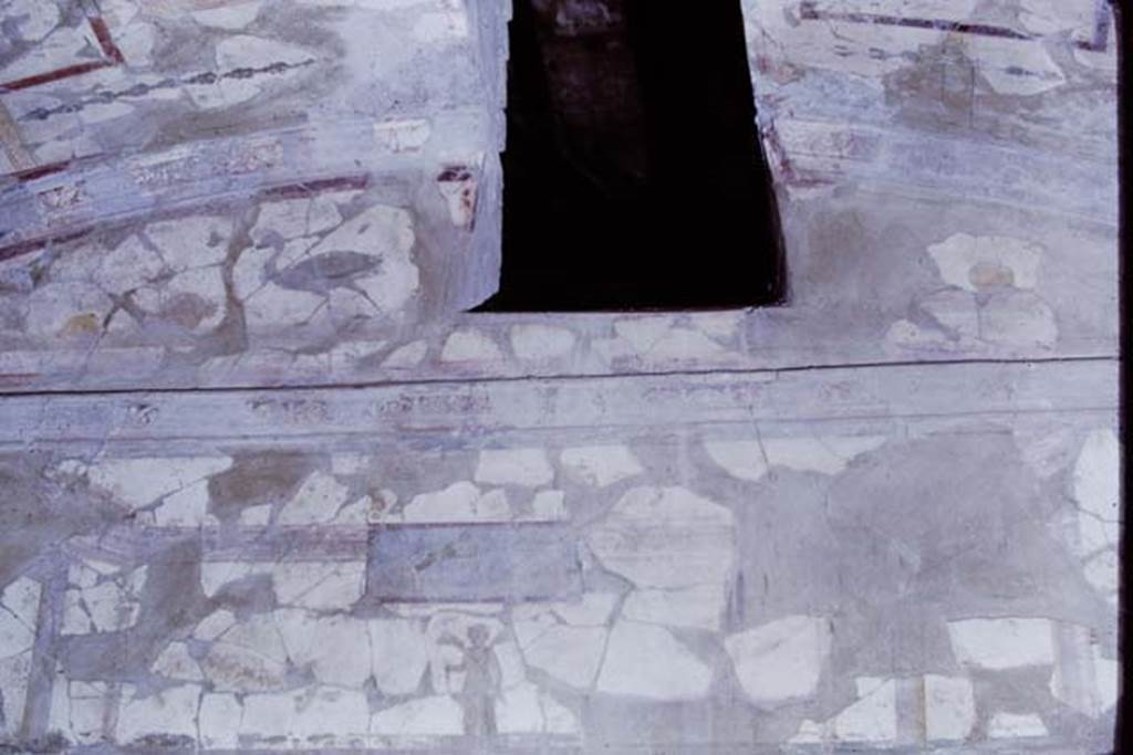 I.10.11Pompeii, 1968. Room 8, upper east wall of triclinium. Photo by Stanley A. Jashemski.
Source: The Wilhelmina and Stanley A. Jashemski archive in the University of Maryland Library, Special Collections (See collection page) and made available under the Creative Commons Attribution-Non Commercial License v.4. See Licence and use details.
J68f0493