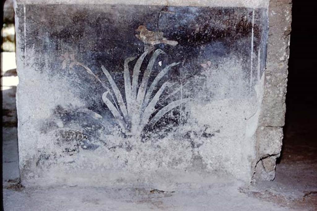 I.10.11 Pompeii. 1959. Room 2, painted zoccolo with plant and bird from west wall near doorway to room 9.  Photo by Stanley A. Jashemski.
Source: The Wilhelmina and Stanley A. Jashemski archive in the University of Maryland Library, Special Collections (See collection page) and made available under the Creative Commons Attribution-Non Commercial License v.4. See Licence and use details.
J59f0281