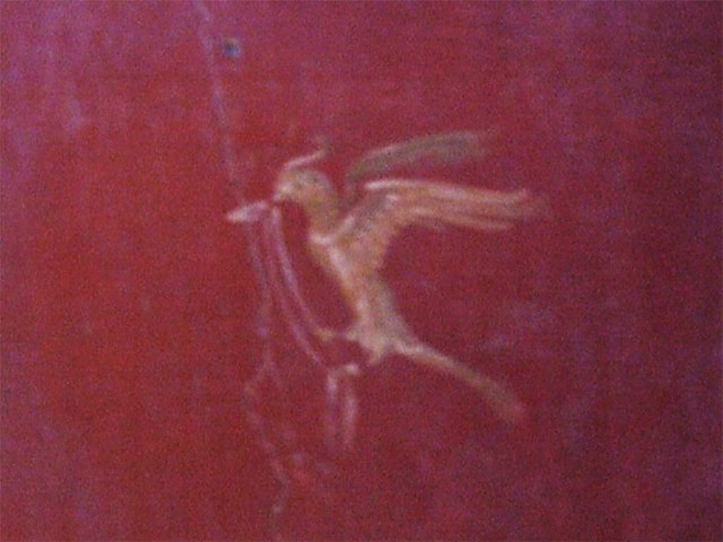 I.10.11 Pompeii. March 2009. Room 9, south end of east wall of cubiculum. Painting of a bird with a ribbon in its beak.  
See Bragantini, de Vos, Badoni, 1981. Pitture e Pavimenti di Pompei, Parte 1. Rome: ICCD. (p.141).