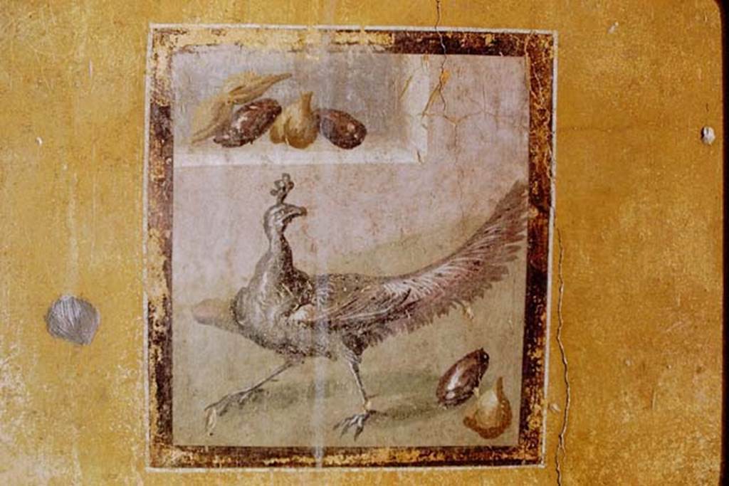 I.10.11 Pompeii. 1968. Room 9, central painting of peahen and fruit from south wall of cubiculum.  
Photo by Stanley A. Jashemski.
Source: The Wilhelmina and Stanley A. Jashemski archive in the University of Maryland Library, Special Collections (See collection page) and made available under the Creative Commons Attribution-Non Commercial License v.4. See Licence and use details.
J68f0490