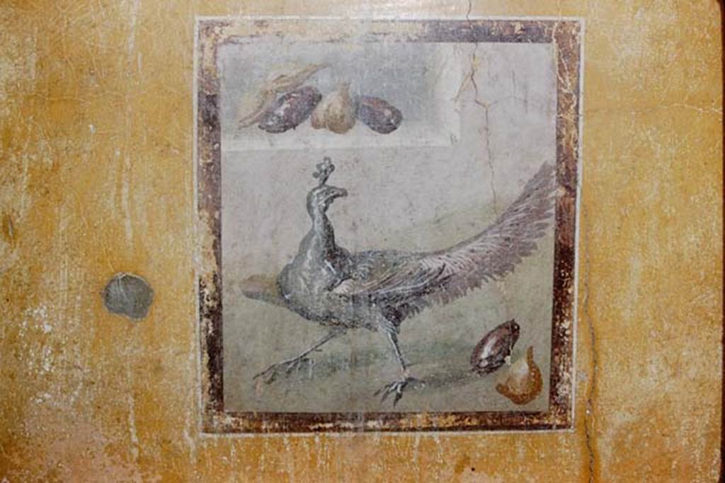 I.10.11 Pompeii. 1959. Room 9, central painting of peahen and fruit, from south wall of cubiculum.  
Photo by Stanley A. Jashemski.
Source: The Wilhelmina and Stanley A. Jashemski archive in the University of Maryland Library, Special Collections (See collection page) and made available under the Creative Commons Attribution-Non Commercial License v.4. See Licence and use details.
J59f0284