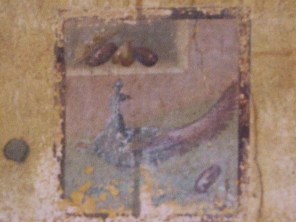 I.10.11 Pompeii. March 2009. Room 9, painting of a peahen and fruit from west end of south wall of cubiculum.  
See Bragantini, de Vos, Badoni, 1981. Pitture e Pavimenti di Pompei, Parte 1. Rome: ICCD. (p.141).