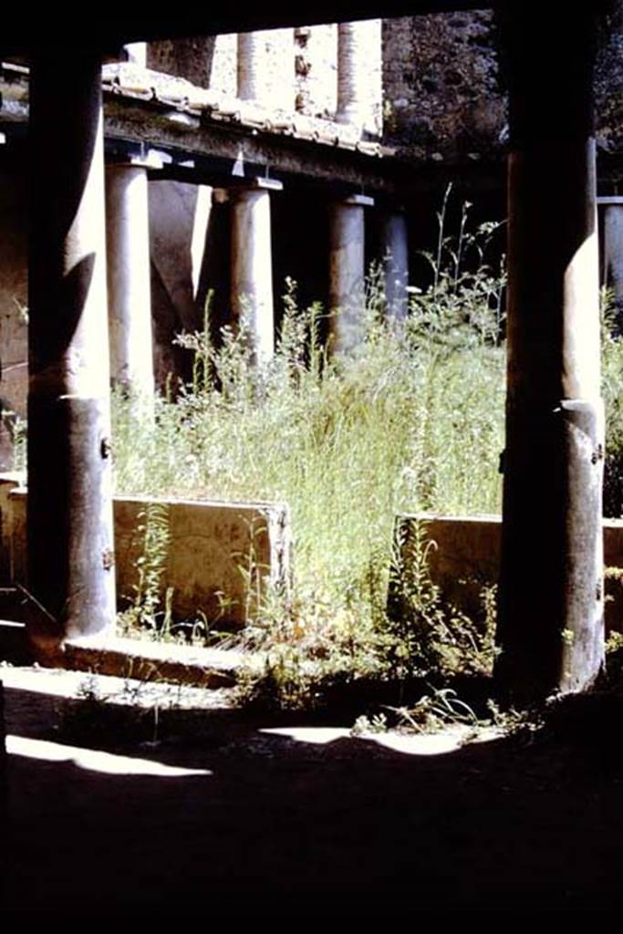 I.10.11 Pompeii. 1968. Room 10, peristyle. Looking north-east to lower and upper floors of portico.
Photo by Stanley A. Jashemski.
Source: The Wilhelmina and Stanley A. Jashemski archive in the University of Maryland Library, Special Collections (See collection page) and made available under the Creative Commons Attribution-Non Commercial License v.4. See Licence and use details.
J68f0494