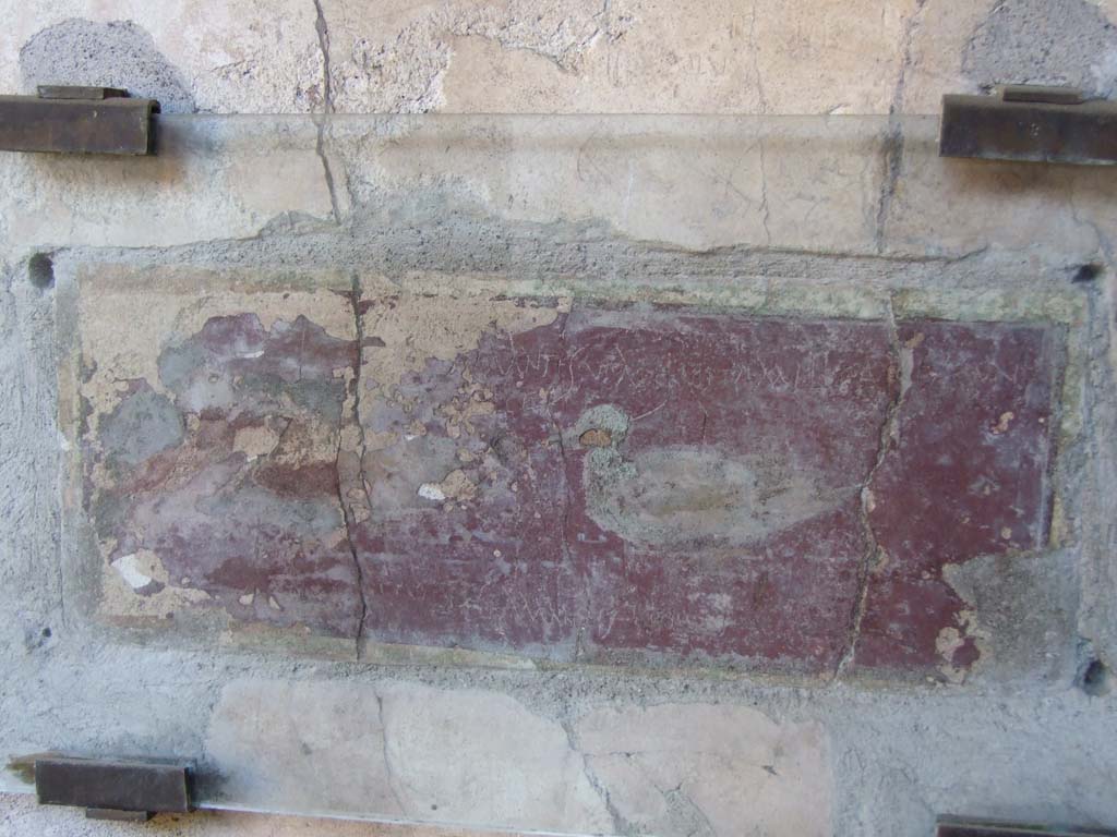 I.10.11 Pompeii. March 2009. Room 10, east wall of peristyle, on south side of doorway to room 13.  
Painting of ducks with graffito.  CIL IV 8408 a-c.
“Amantes ut apes vitam melitam exigent.” (Lovers, like bees, make life as sweet as honey).
See Bragantini, de Vos, Badoni, 1981. Pitture e Pavimenti di Pompei, Parte 1. Rome: ICCD, pp. 144-145.
