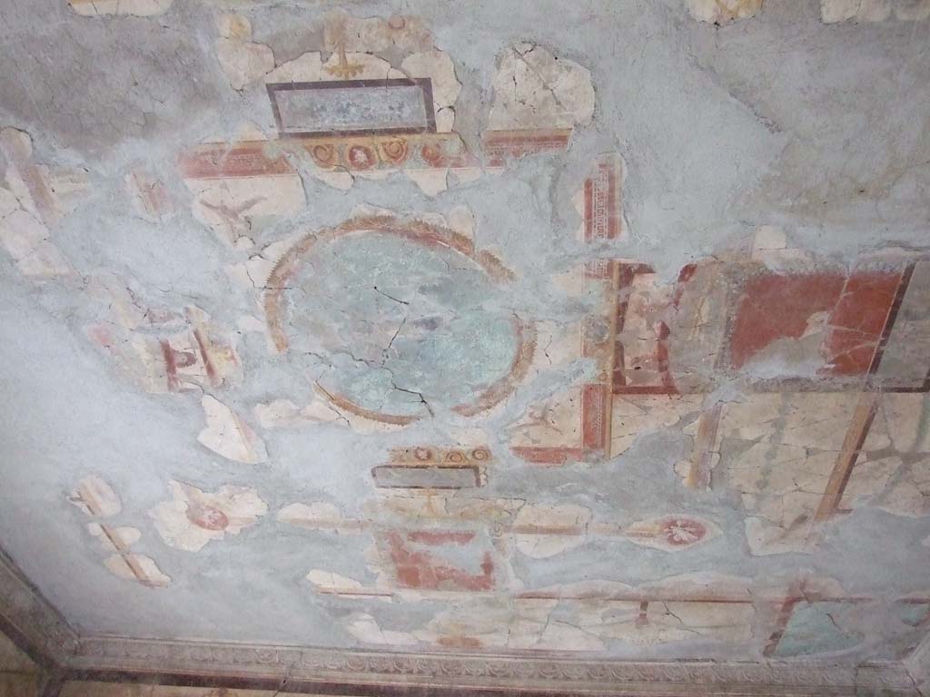 I.10.11 Pompeii. March 2009. Room 13, painted ceiling of cubiculum.