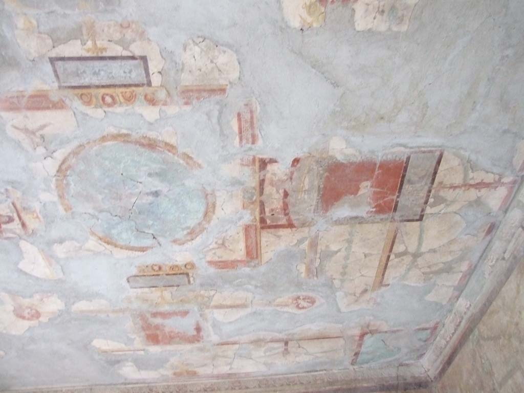 I.10.11 Pompeii. March 2009. Room 13, painted ceiling of cubiculum.