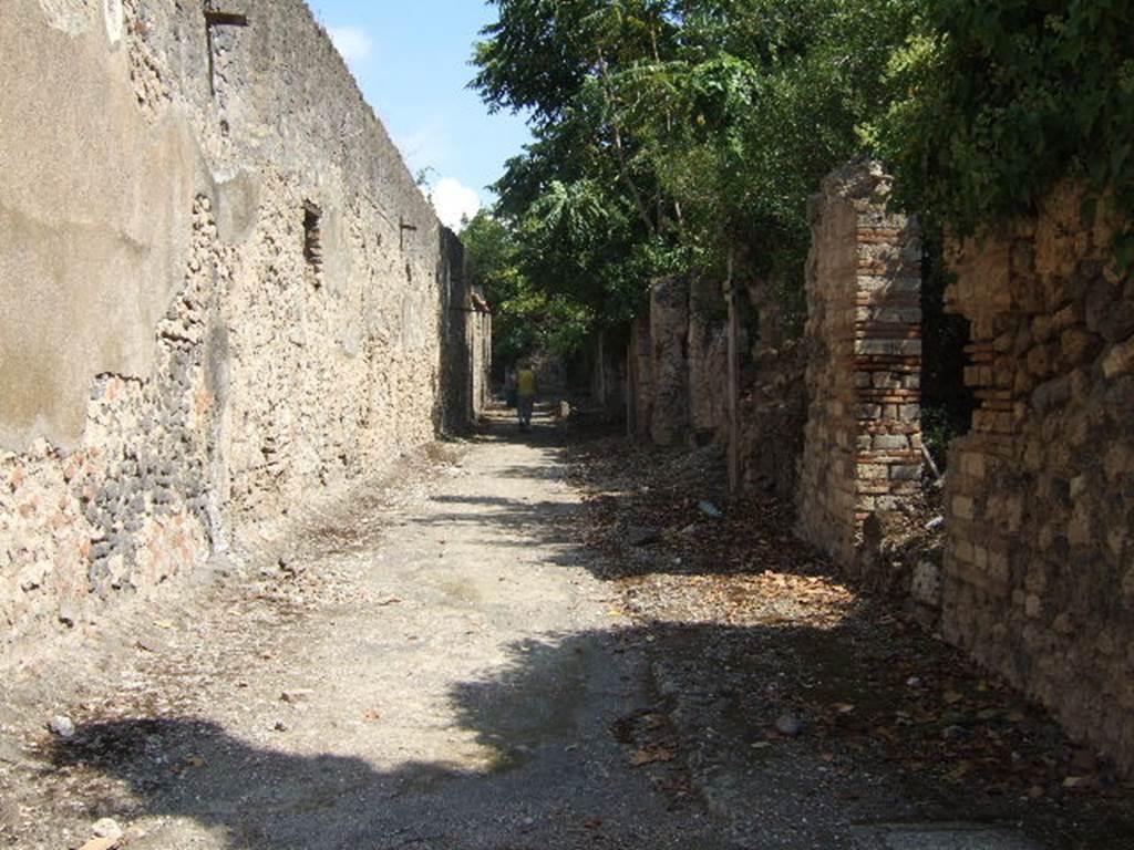 I.10.11 Pompeii.          Roadway looking east.    September 2005.           I.19.