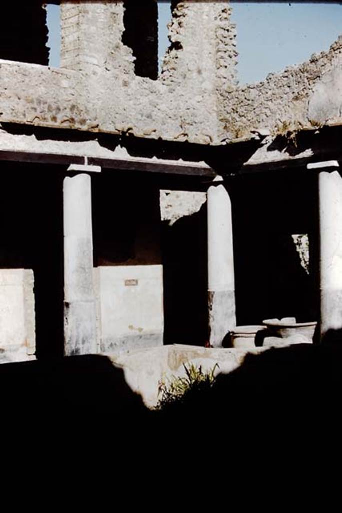 I.10.11 Pompeii. 1959. South-east corner of peristyle and upper floor, with painted panel with two ducks on east wall. Photo by Stanley A. Jashemski.
Source: The Wilhelmina and Stanley A. Jashemski archive in the University of Maryland Library, Special Collections (See collection page) and made available under the Creative Commons Attribution-Non Commercial License v.4. See Licence and use details.
J59f0293