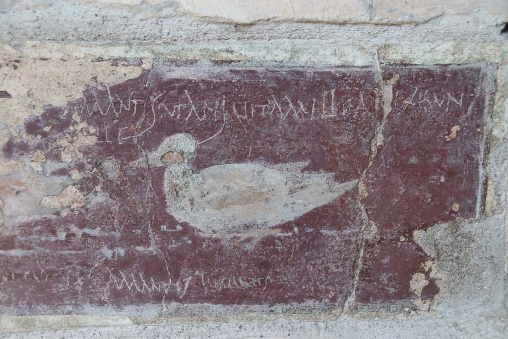I.10.11 Pompeii. September 2021. 
Room 10, detail of graffito, CIL IV 8408 a-c, on east wall of peristyle from south side of door to room 13. Photo courtesy of Klaus Heese.